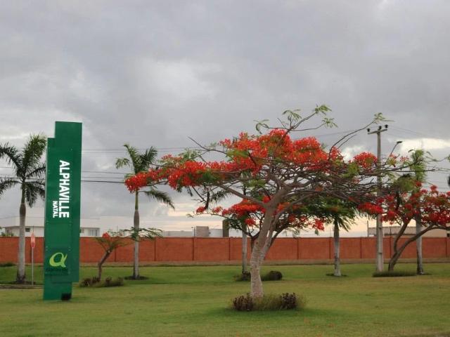 Sítio e chácara venda em Região Geográfica Imediata de Natal, Parnamirim