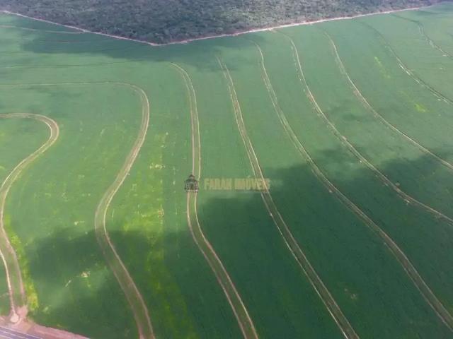Sítio e chácara venda em Passagem Franca do Piauí, Região Nordeste