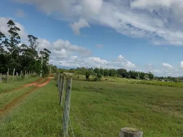 Sítio e chácara venda em Região Geográfica Imediata de Araranguá, Passo de Torres