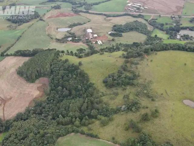 Sítio e chácara venda em Região Geográfica Imediata de Xanxerê, Passos Maia