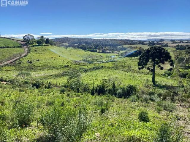 Sítio e chácara venda em Região Geográfica Imediata de Xanxerê, Passos Maia