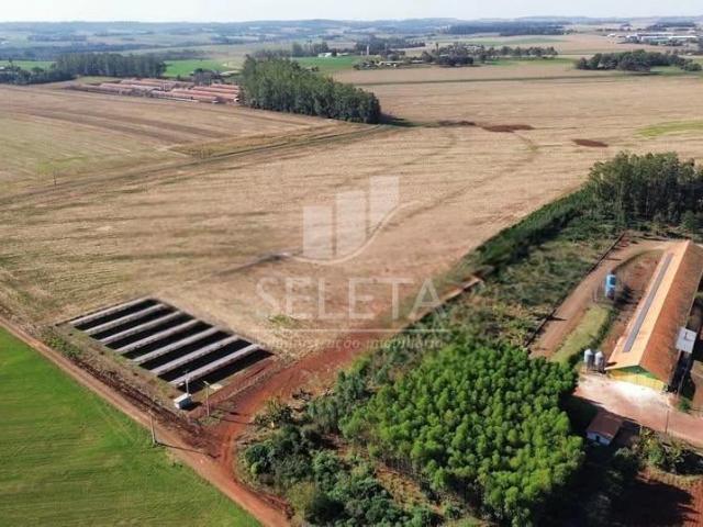 Sítio e chácara venda em Pato Bragado, Região Geográfica Intermediária de Cascavel