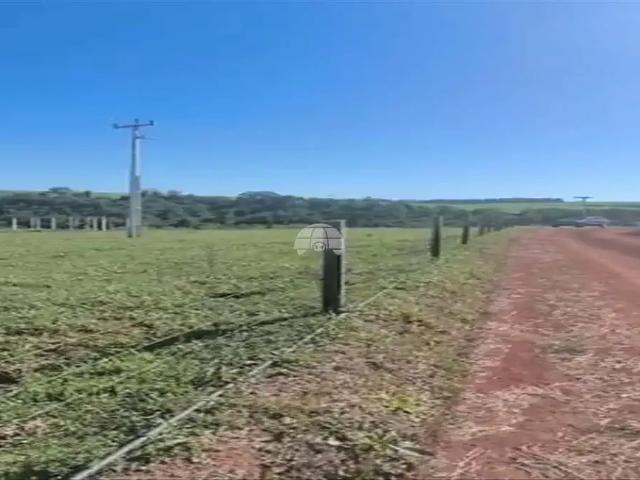 Sítio e chácara venda em Região Geográfica Imediata de Pato Branco, Região Sul