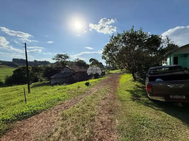 Sítio e chácara venda em Região Geográfica Imediata de Pato Branco, Clevelândia