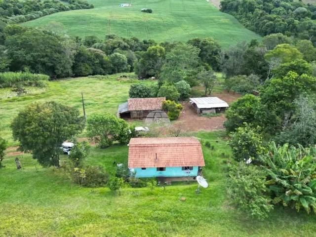 Sítio e chácara venda em Região Geográfica Imediata de Pato Branco, Clevelândia