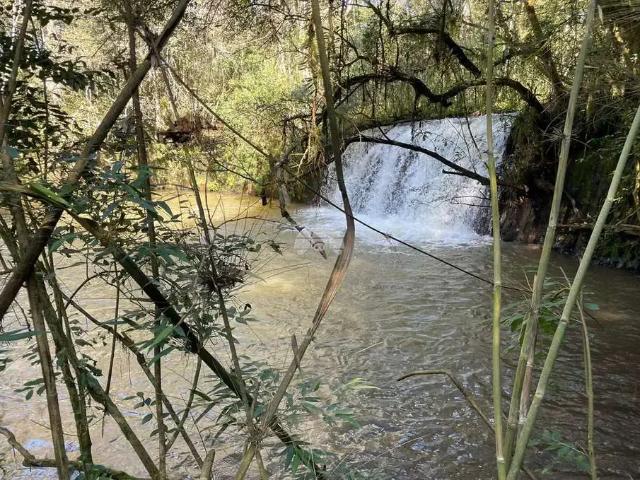 Sítio e chácara venda em Região Geográfica Imediata de Pato Branco, Região Sul