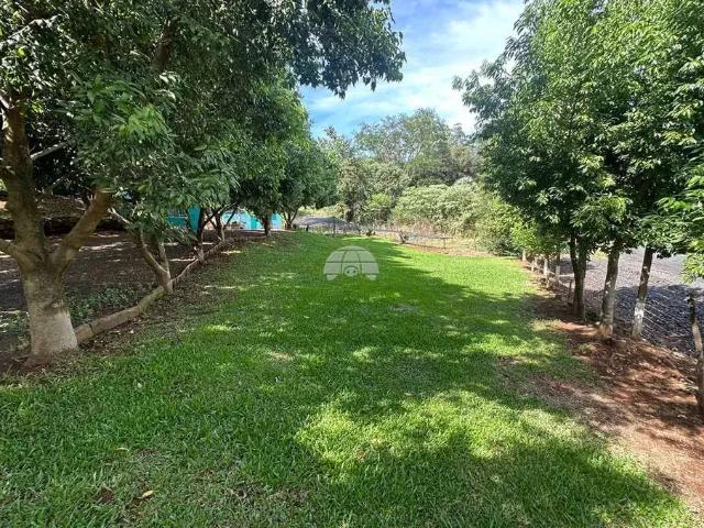 Sítio e chácara venda em Região Geográfica Imediata de Pato Branco, Região Sul