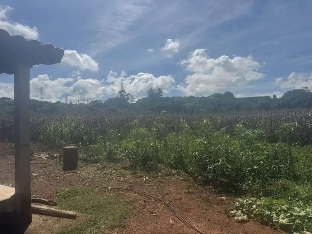 Sítio e chácara venda em Região Geográfica Imediata de Patos de Minas, Patos de Minas