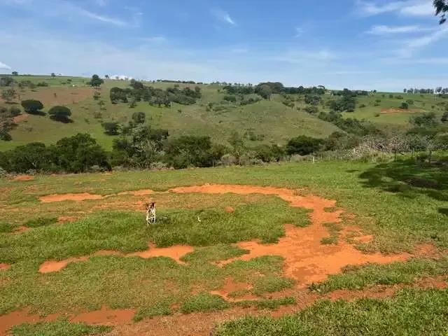 Sítio e chácara venda em Região Geográfica Imediata de Patos de Minas, Patos de Minas