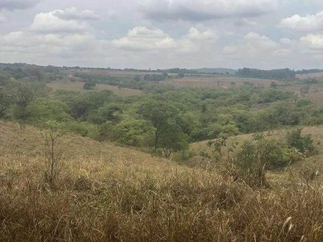 Sítio e chácara venda em Brasil, Patos de Minas