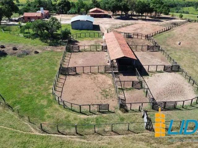 Sítio e chácara venda em Região Geográfica Imediata de Patos de Minas, Patos de Minas