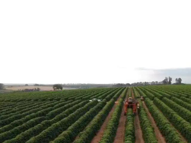 Sítio e chácara venda em Região Geográfica Imediata de Patrocínio, Patrocínio