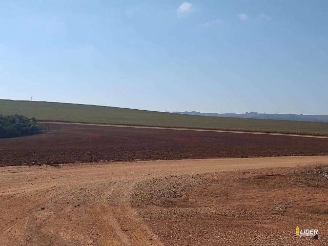 Sítio e chácara venda em São Francisco, Patrocínio