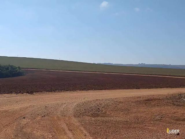 Sítio e chácara venda em Região Geográfica Imediata de Patrocínio, Patrocínio