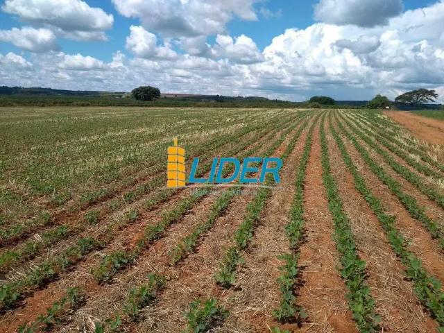 Sítio e chácara venda em Região Geográfica Imediata de Patrocínio, Patrocínio