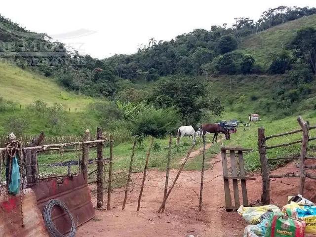 Sítio e chácara venda em Região Geográfica Imediata de Valença, Paty do Alferes