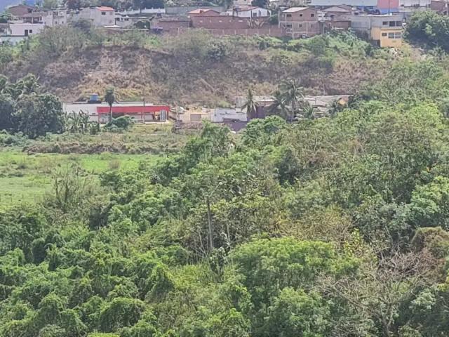 Sítio e chácara venda em Região Geográfica Imediata do Recife, Paudalho