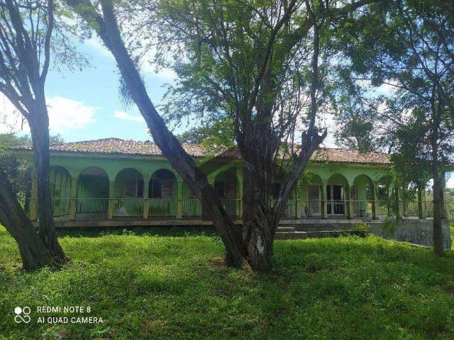 Sítio e chácara venda em Região Geográfica Imediata do Recife, Paudalho
