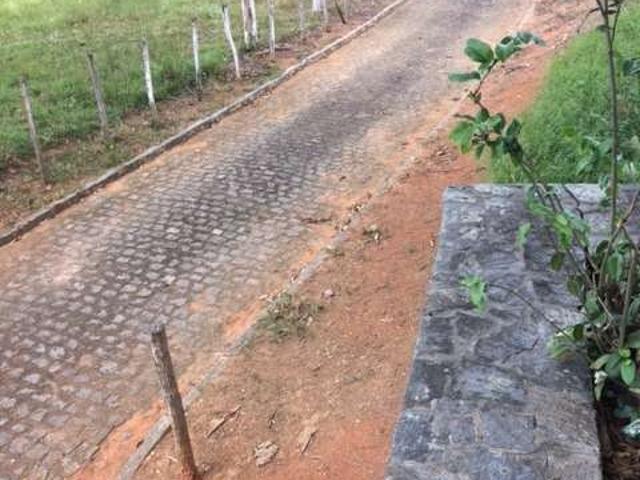 Sítio e chácara venda em Região Geográfica Imediata do Recife, Paudalho