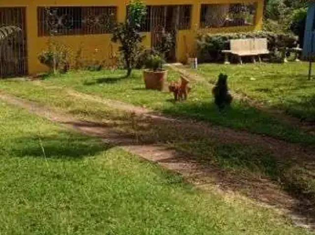 Sítio e chácara venda em Região Geográfica Imediata do Recife, Paudalho