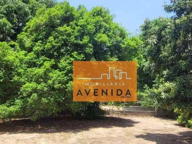 Sítio e chácara venda em João Aranha, Paulínia