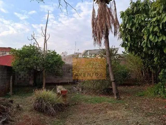 Sítio e chácara venda em João Aranha, Paulínia