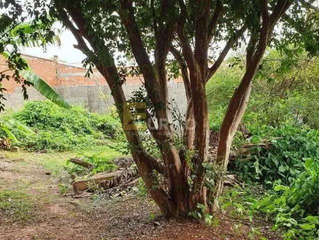 Sítio e chácara venda em Região Imediata de Campinas, Região Metropolitana de Campinas