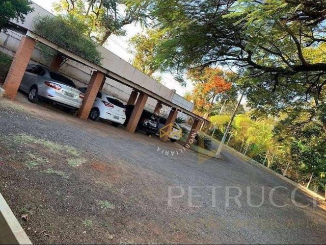 Sítio e chácara venda em Região Imediata de Campinas, Região Metropolitana de Campinas