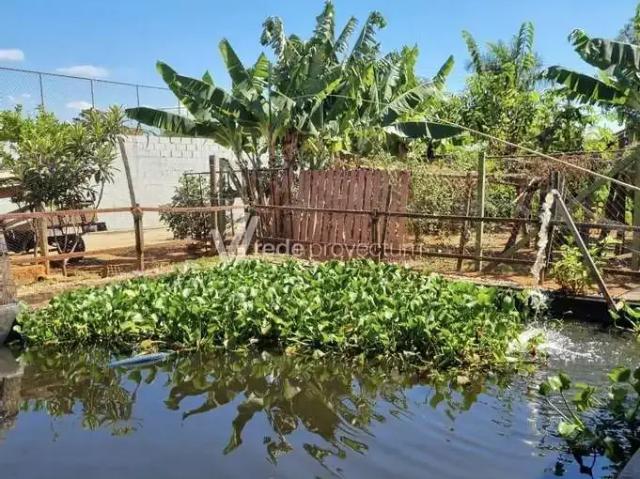 Sítio e chácara venda em Região Imediata de Campinas, Região Metropolitana de Campinas