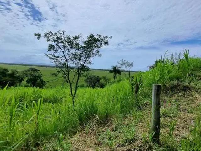 Sítio e chácara venda em Região Geográfica Imediata de Florianópolis, Paulo Lopes