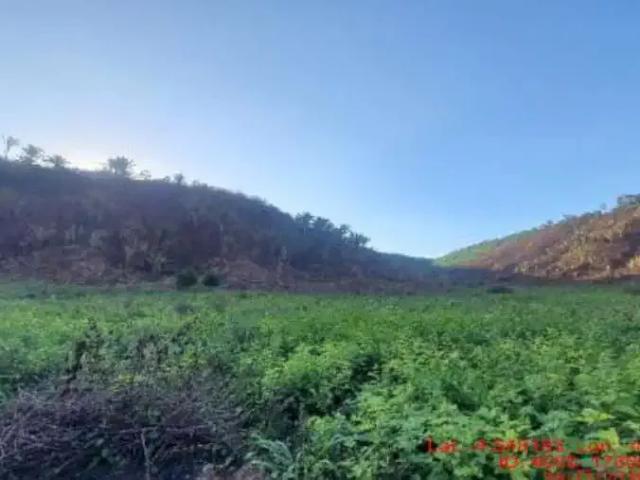 Sítio e chácara venda em Paulo Ramos, Região Nordeste
