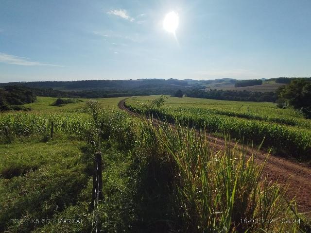 Sítio e chácara venda em Região Geográfica Imediata de Campo Mourão, Peabiru