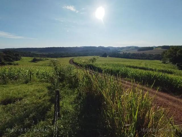 Sítio e chácara venda em Região Geográfica Imediata de Campo Mourão, Peabiru