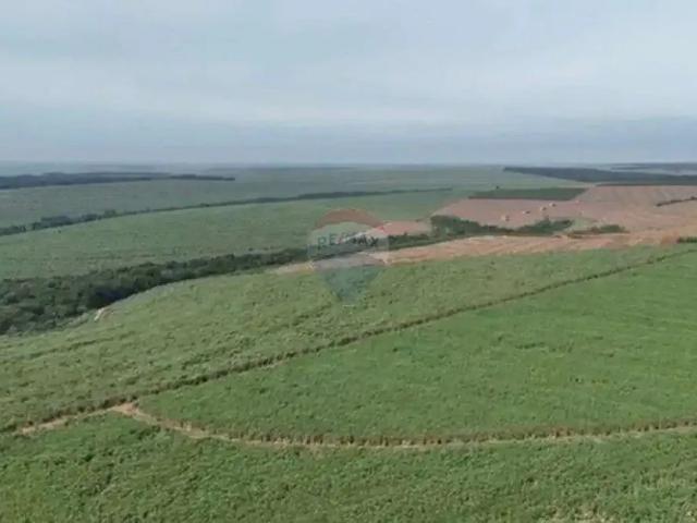 Sítio e chácara venda em Região Imediata de Bauru, Pederneiras