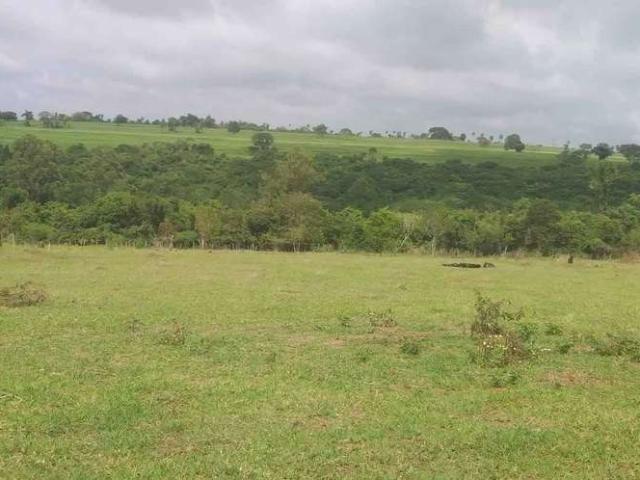 Sítio e chácara venda em Pederneiras, Terras do Imbiruçu