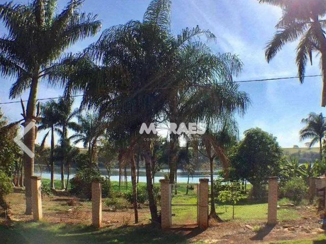 Sítio e chácara venda em Região Imediata de Bauru, Pederneiras