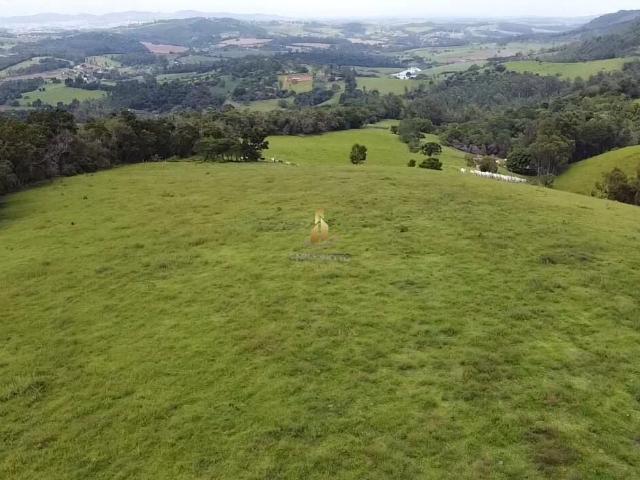 Sítio e chácara venda em Região Imediata de Bragança Paulista, Pedra Bela