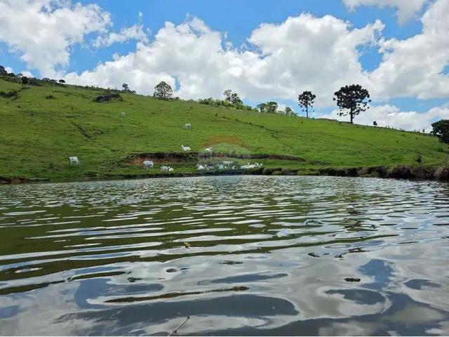 Sítio e chácara venda em Região Imediata de Bragança Paulista, Pedra Bela