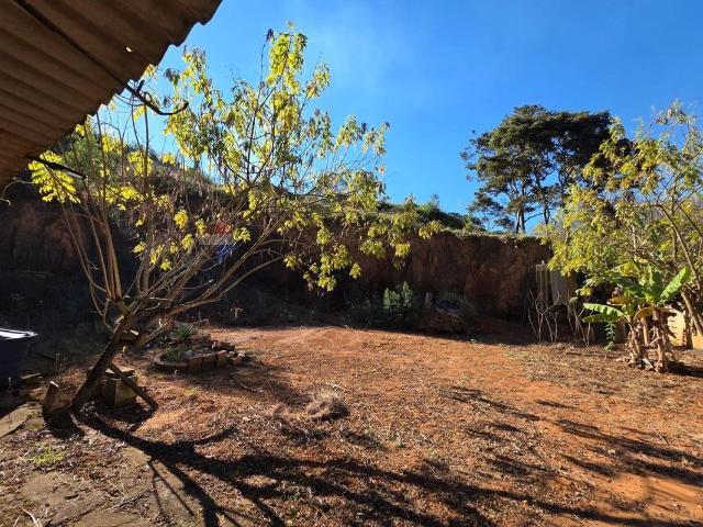 Sítio e chácara venda em Pedra Bela