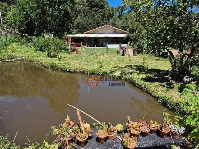 Sítio e chácara venda em Região Geográfica Imediata de Londrina, Pitangueiras