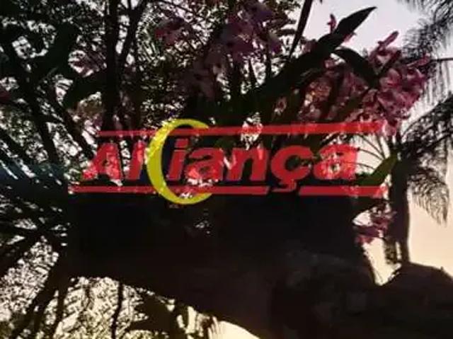 Sítio e chácara venda em Pedra Bela