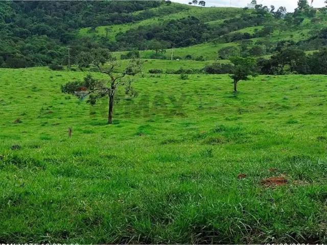 Sítio e chácara venda em Região Geográfica Imediata de Divinópolis, Pedra do Indaiá