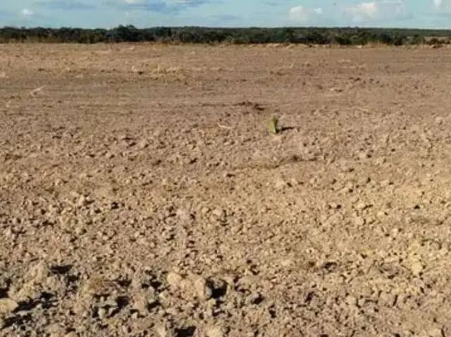Sítio e chácara venda em Região Geográfica Imediata de Guaraí, Pedro Afonso