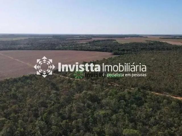 Sítio e chácara venda em Região Geográfica Imediata de Guaraí, Pedro Afonso