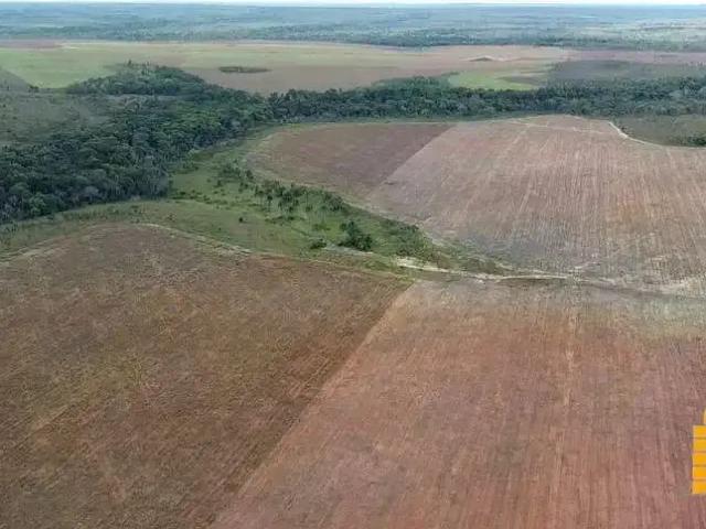 Sítio e chácara venda em Região Geográfica Imediata de Guaraí, Pedro Afonso