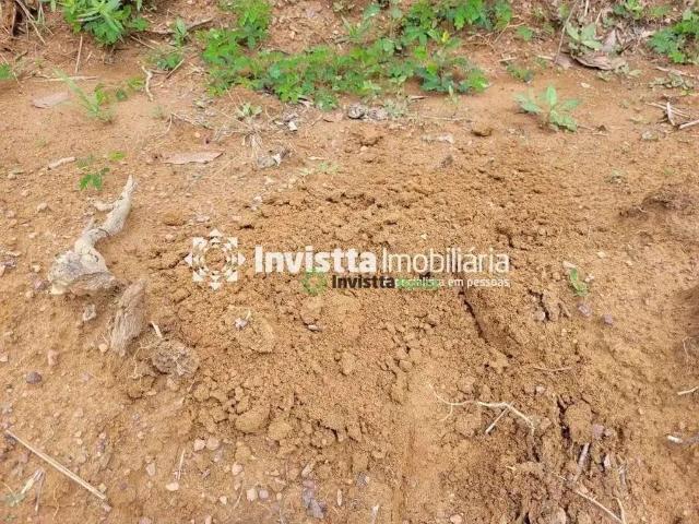Sítio e chácara venda em Região Geográfica Imediata de Guaraí, Pedro Afonso