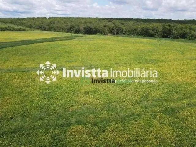 Sítio e chácara venda em Região Geográfica Imediata de Guaraí, Pedro Afonso