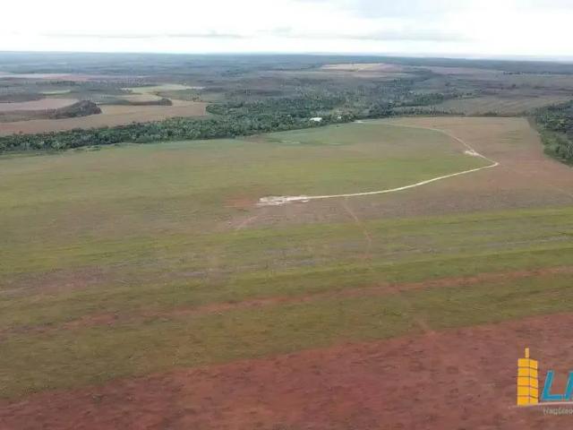 Sítio e chácara venda em Região Geográfica Imediata de Guaraí, Pedro Afonso