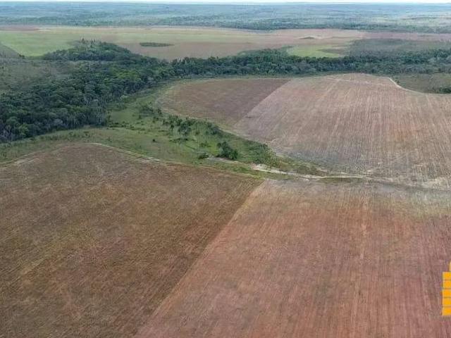 Sítio e chácara venda em Pedro Afonso, Região Geográfica Intermediária de Araguaína