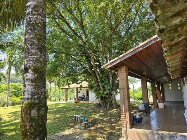 Sítio e chácara venda em Pedro de Toledo